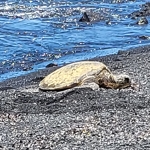 후회없는 빅아일랜드투어