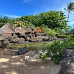 子供が大喜びでした！