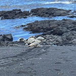 빅아일랜드 투어 코난 가이드님 최고 !