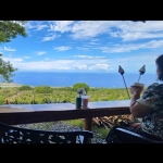 빅아일랜드 일일투어, 최보람 가이드님 최고!