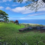 하와이에 오면 꼭 한번 와봐야 할 곳