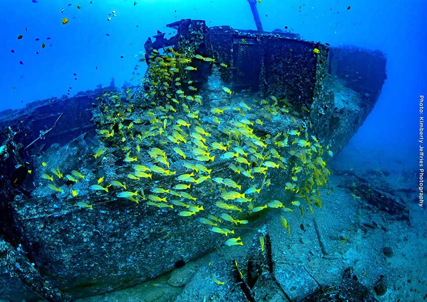 雲海のアトミックサブマリーン 雲海のアトミックサブマリーン Satellite photo shows possible