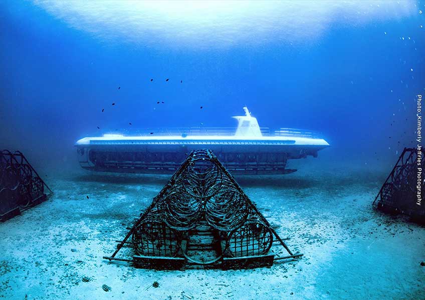 雲海のアトミックサブマリーン 雲海のアトミックサブマリーン Satellite photo shows possible