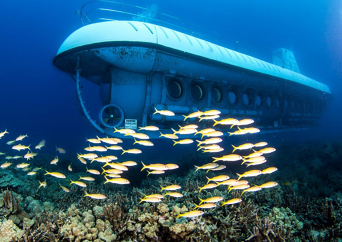 [ハワイ島] アトランティス サブマリン  潜水艦ツアー　