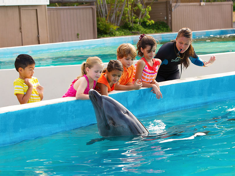 6747.jpg?height=498&width=952&