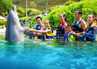 シーライフパーク　ドルフィン・エンカウンター