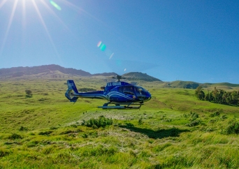 ブルー ハワイアン ヘリコプター マウイ スペクタキュラー