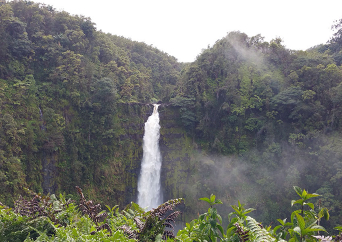 빅아일랜드 코나공항에서 조인하는 빅아일랜드 1일 투어 (항공권 미포함 상품)