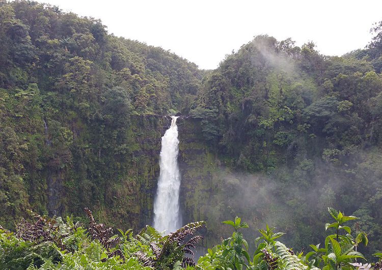 하와이에서 가장 유명한 폭포 중 하나인 빅아일랜드 아카카 폭포에서 이국적인 등산로 속의 시원한 물줄기를 만나보세요.