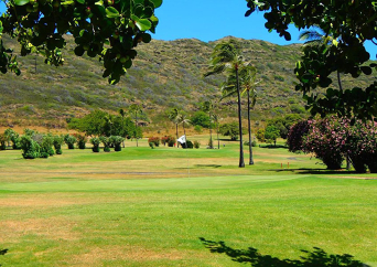 하와이카이 챔피언 쉽 골프 코스