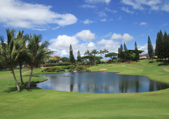 와이켈레 골프 코스