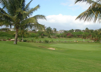 코랄크릭 골프 코스