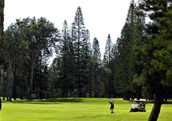 ミリラニ･ゴルフクラブ