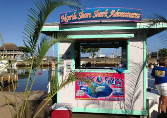 シャークツアー