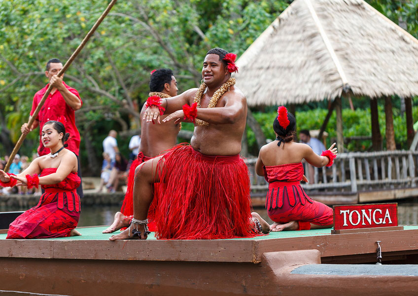 490.jpg?width=750&v=1551337657