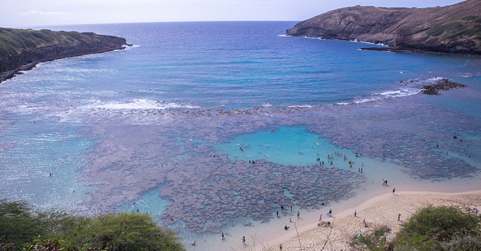 ハナウマ湾シュノーケルツアー ハワイvipツアー ハワイオプション ハワイオプショナルツアー予約専門会社