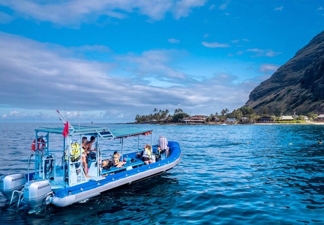 イルカ中学 | Alohawaii Tour JPN | ハワイオプション・ハワイ
