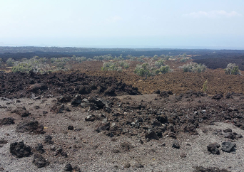 ハワイ島 他島観光ツアー 現地ツアー ハワイvipツアー ハワイオプション ハワイオプショナルツアー予約専門会社