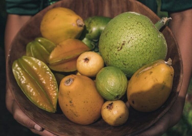 알로하 아이나 (정원 투어) 04