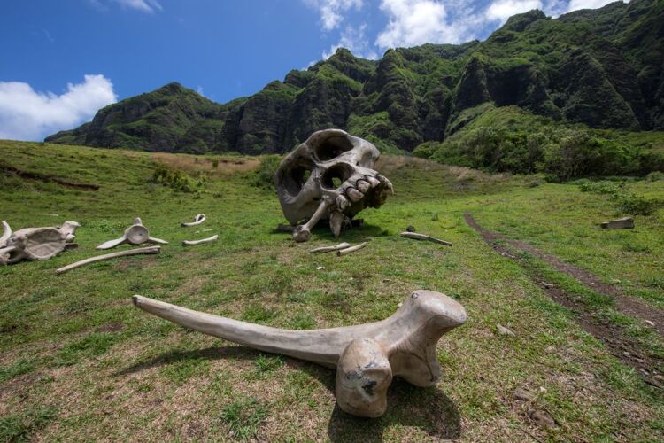 헐리우드 무비사이트 투어 02