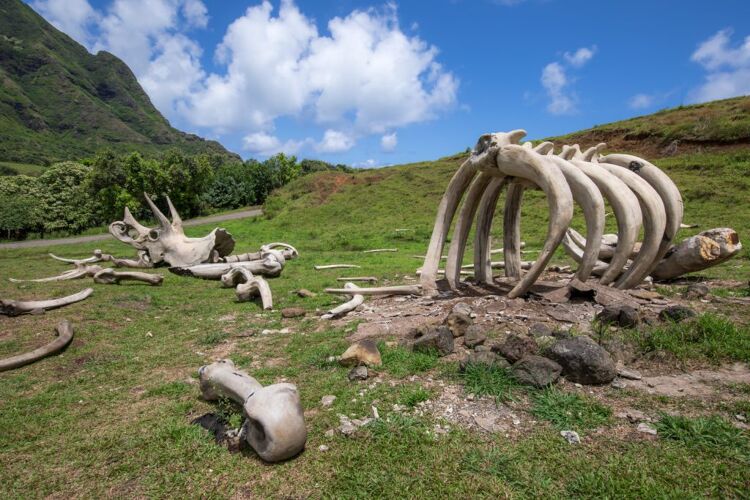 헐리우드 무비사이트 투어 03