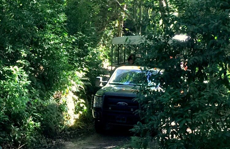 정글탐험투어 01