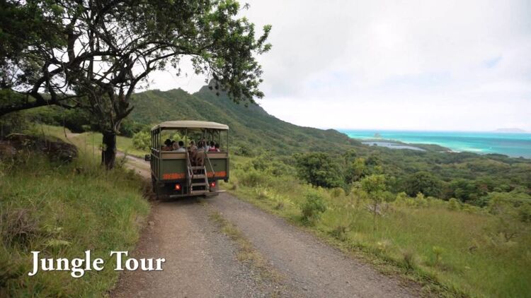 정글탐험투어 03