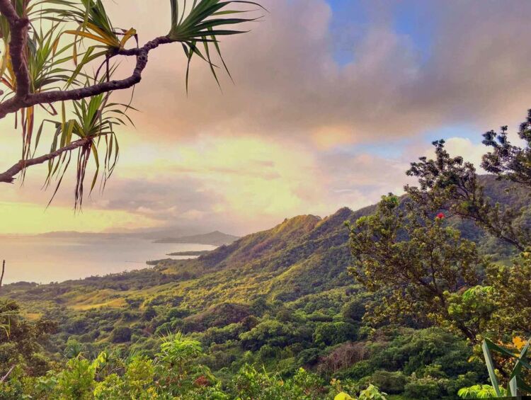 정글탐험투어 04