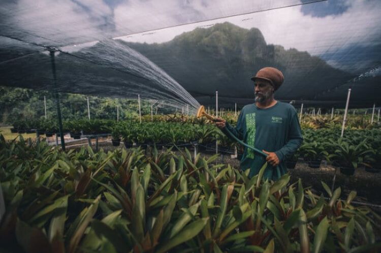 알로하 아이나 (정원 투어) 02