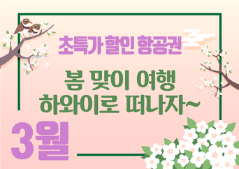 3월 초특가 할인 항공권
