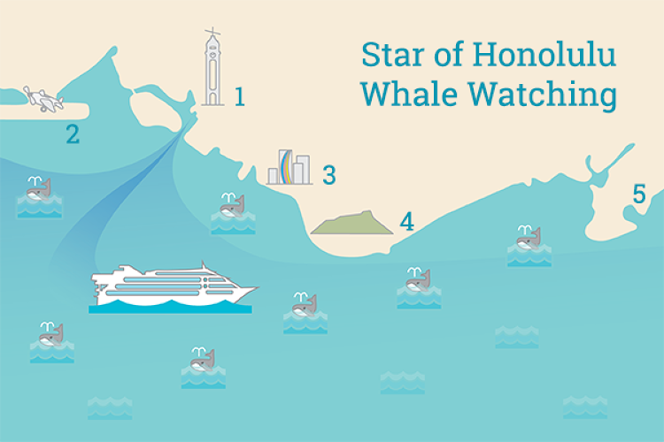 1. アロハタワーマーケットプレイス
2. ホノルル空港
3. ワイキキ
4. ダイヤモンドヘッド
5. カハラゴールドコースト