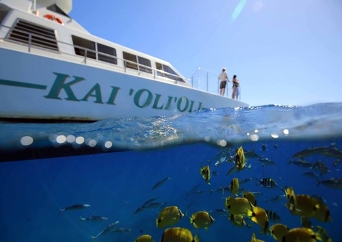 オーシャン ジョイ クルーズ＆シュノーケリング ツアー