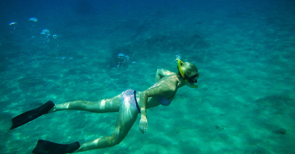 Trilogy トリロジー カアナパリ シュノーケルツアー ハワイvipツアー ハワイオプション ハワイオプショナルツアー予約専門会社