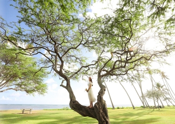 카할라 + 카할라쿠이 굽은나무 스냅