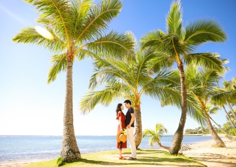 카할라 오후 + 선셋 (와이키키 or 하와이카이)