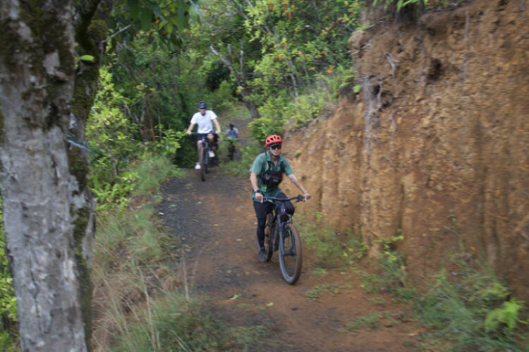 쿠알로아 랜치 - 전기자전거 (숙련자코스_01)