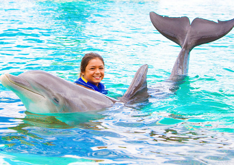 シーライフパーク ドルフィン エクスプロレーション