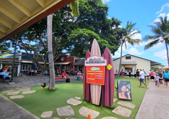 ドール ＆ ハレイワ シャトル