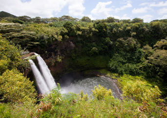 カウアイ島日帰りツアー