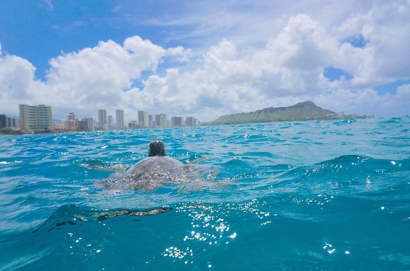 6936.jpg?width=750&v=1705115805