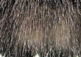 長岡花火＆ナイトクルーズ