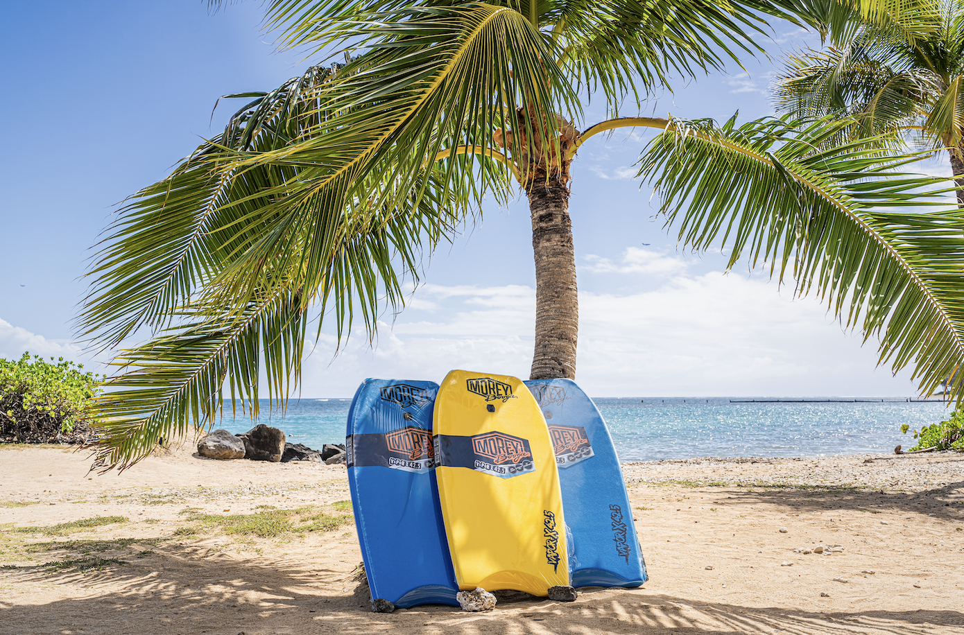 無料レンタル] ボディボード | VIP Tour Web | ハワイオプション