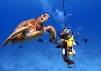 水中スクーター & ボートクルージングツアー