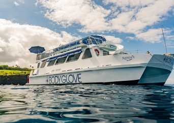 ハワイ島 シュノーケル＆ドルフィンウォッチングツアー