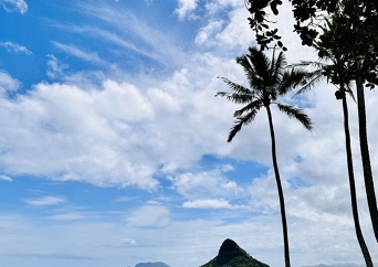 観光タクシーチャーター(５人乗り)