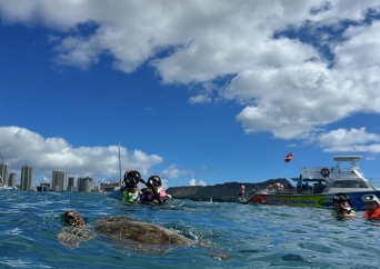 블루오션 프리미엄 럭셔리 선셋 거북이스노클링 (한국인 스태프 진행 상품)