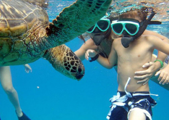 コオリナ オーシャン アドベンチャー　カタマラン シュノーケリング セーリング ツアー