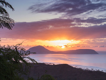 다이아몬드 헤드 + KCC 파머스 마켓