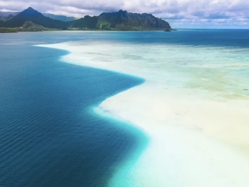 하와이 샌드바 스노클링