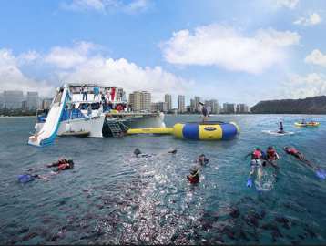 거북이 스노클링 패키지